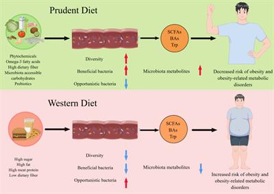 Dietary patterns interfere with gut microbiota to combat obesity
